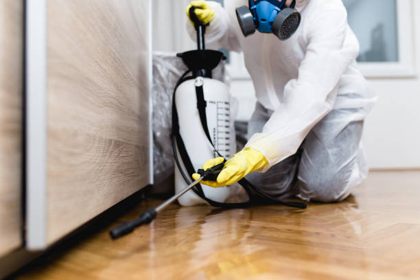 Best Flea Control Services  in Flint, MI