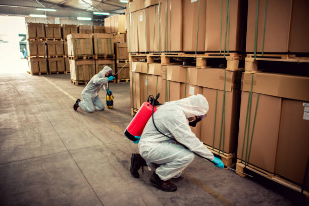 Best Bed Bug Extermination  in Flint, MI