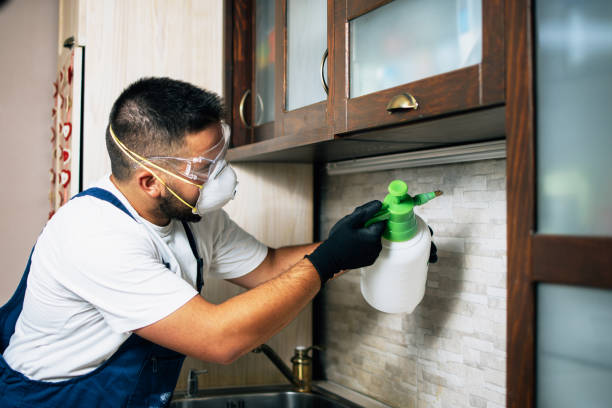 Best Ant Control Services  in Flint, MI