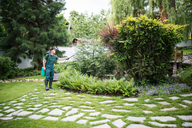 Best Affordable Pest Control Services  in Flint, MI
