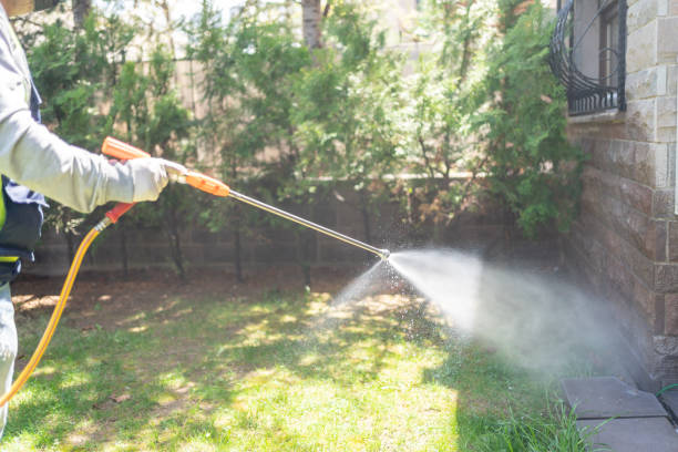 Best Rodent Control Near Me  in Flint, MI