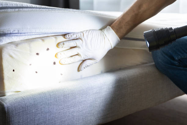 Best Residential Pest Control  in Flint, MI