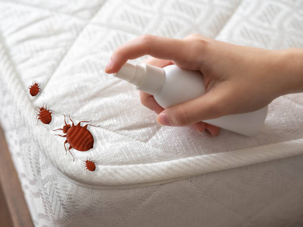 Flea Control Services in Flint, MI