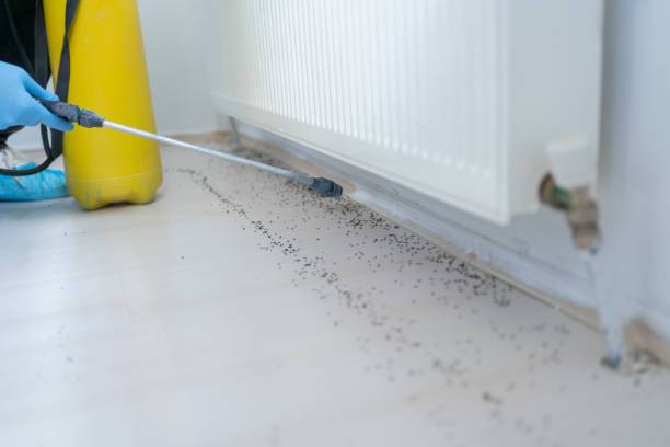 Best Best Pest Control Near Me  in Flint, MI