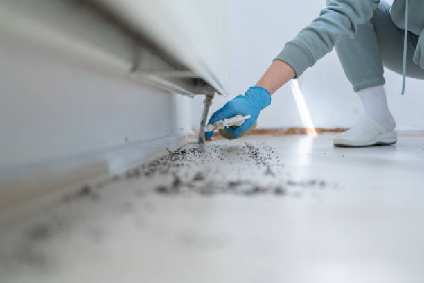 Best Pest Control Near Me in Flint, MI
