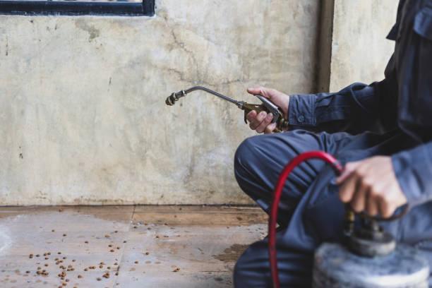 Trusted Flint, MI Pest Control Experts