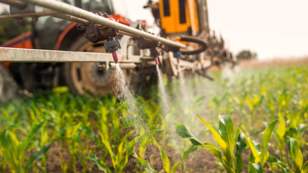 Best Ant Control Services  in Flint, MI